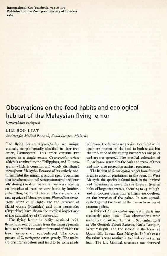 Observations on The Food Habits and Ecological Habitat of The Malaysian  Flying Lemur. International Zoo Yearbook 7 (1), 1967 | Article | Malaysia  Biodiversity Information System (MyBIS)