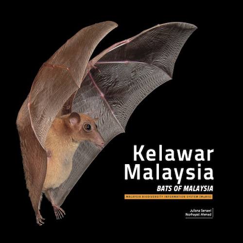 Kelawar Malaysia / Bats of Malaysia